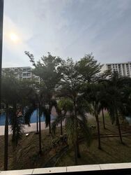 Blk 137 Eunos Spring (Bedok), HDB Executive #580202041